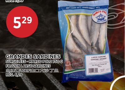 FROZEN LARGE SARDINES