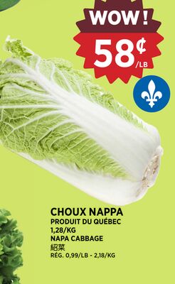 CHOUX NAPPA