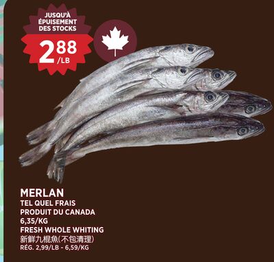 MERLAN
