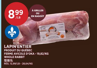 LAPIN ENTIER