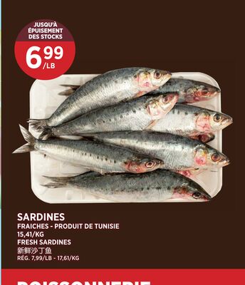 SARDINES