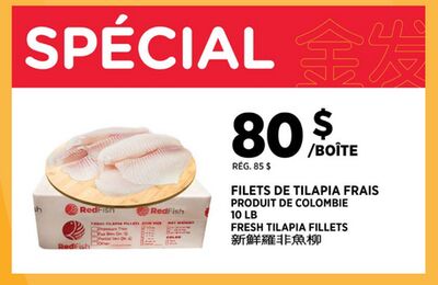 FILETS DE TILAPIA FRAIS