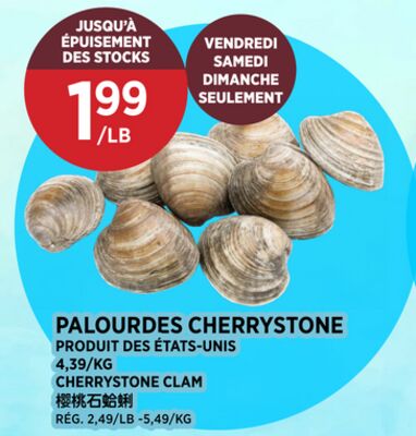 PALOURDES CHERRYSTONE