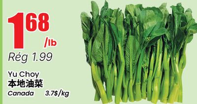 Yu Choy