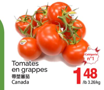 TOMATES EN GRAPPES