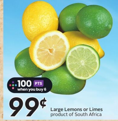 Large Lemons or Limes