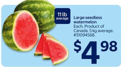 Large seedless watermelon