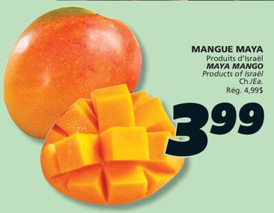 MAYA MANGO