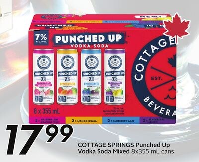Punched Up Vodka Soda Mixed