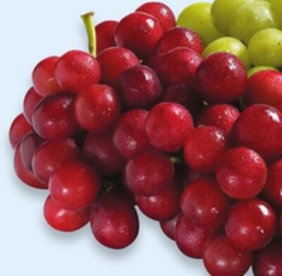 Red Seedless Grapes