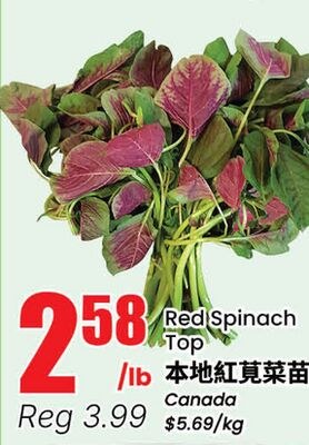 Red Spinach Top