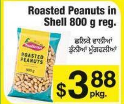 Roasted Peanuts in Shell 800 g
