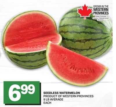 SEEDLESS WATERMELON, 9 LB AVERAGE EACH