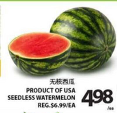SEEDLESS WATERMELON