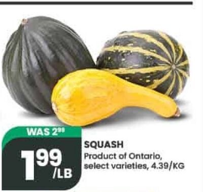 SQUASH