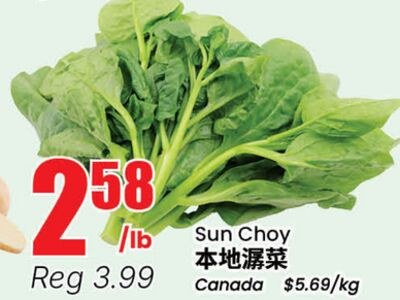 Sun Choy