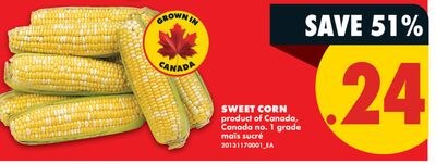 SWEET CORN
