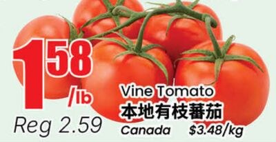 Vine Tomato
