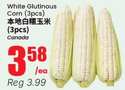 White Glutinous Corn (3pcs)