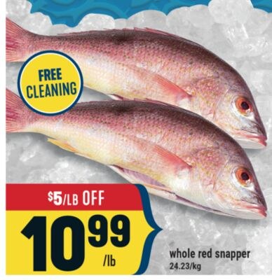 whole red snapper