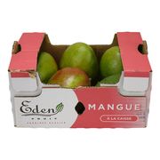 Mangue rouge