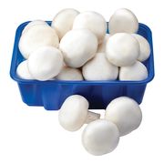 Champignons blancs