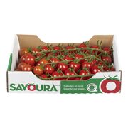 Tomates cerises