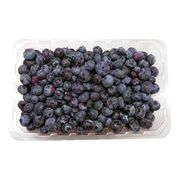 Bleuets