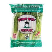 Cœurs de laitue romaine biologiques