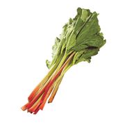 Rhubarbe