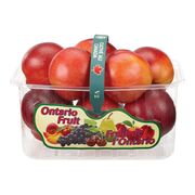 Panier de nectarines