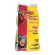 Pommes de terre rouges à chair jaune