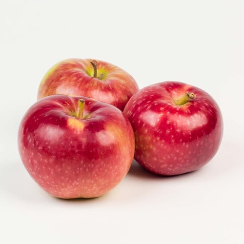 Pomme Cortland 3,63 kg