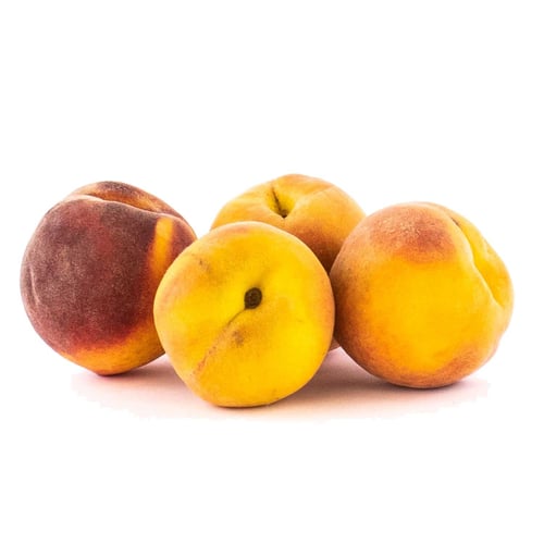 Pêche