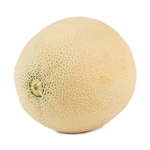 Cantaloup
