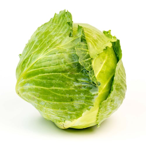 Chou vert du Québec