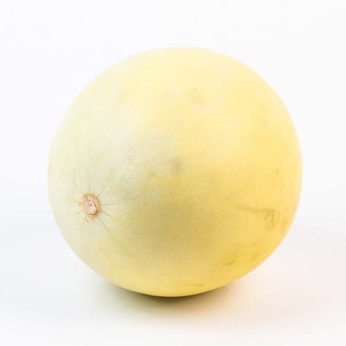 Melon miel jumbo