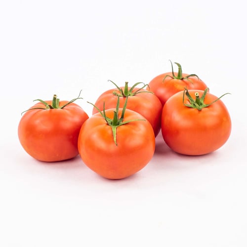Tomates rouges de serre