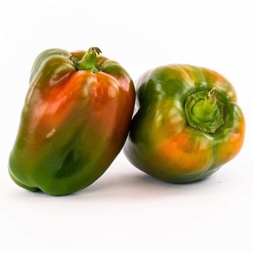 Poivrons Suntan 11.34 kg