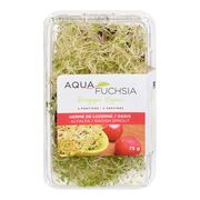 Luzerne et micropousses de radis biologiques