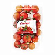 Petites tomates Campari