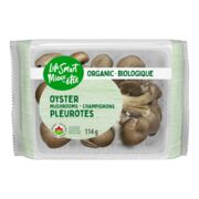 Champignon pleurote biologique