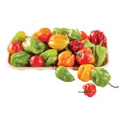 Piments forts