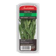 Estragon frais