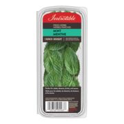 Menthe fraîche