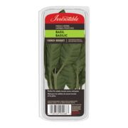 Basilic frais