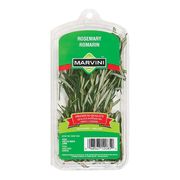 Romarin frais