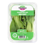 Mini bok choy