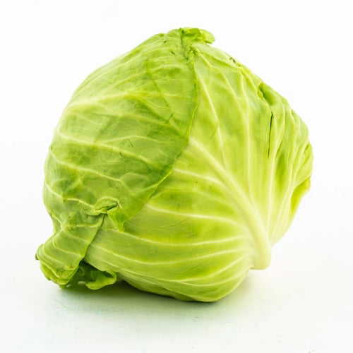 Chou vert du Québec 50 lb