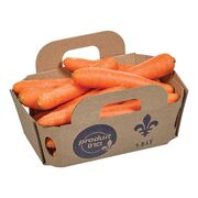 Panier de carottes